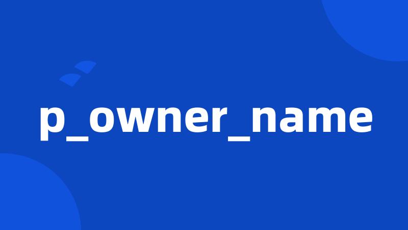 p_owner_name