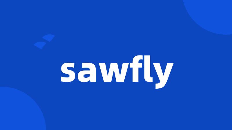sawfly