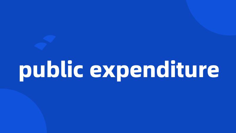 public expenditure