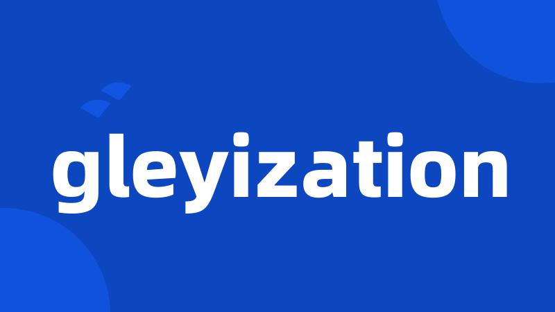 gleyization