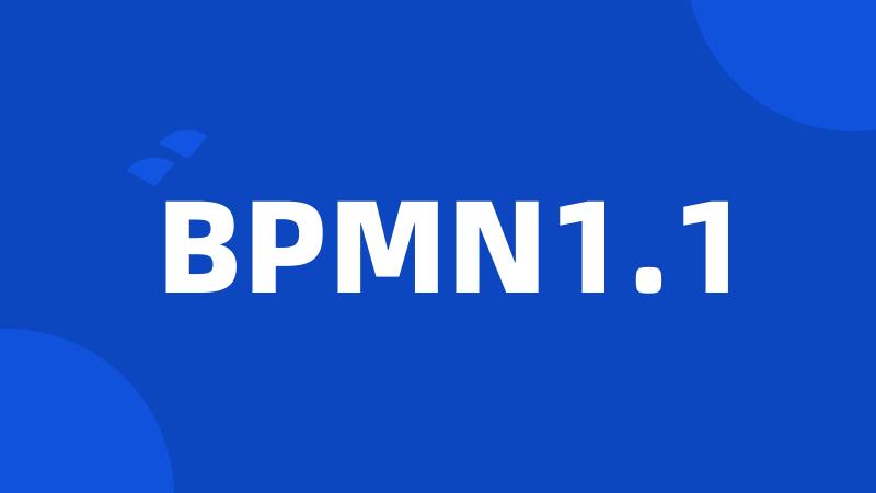 BPMN1.1