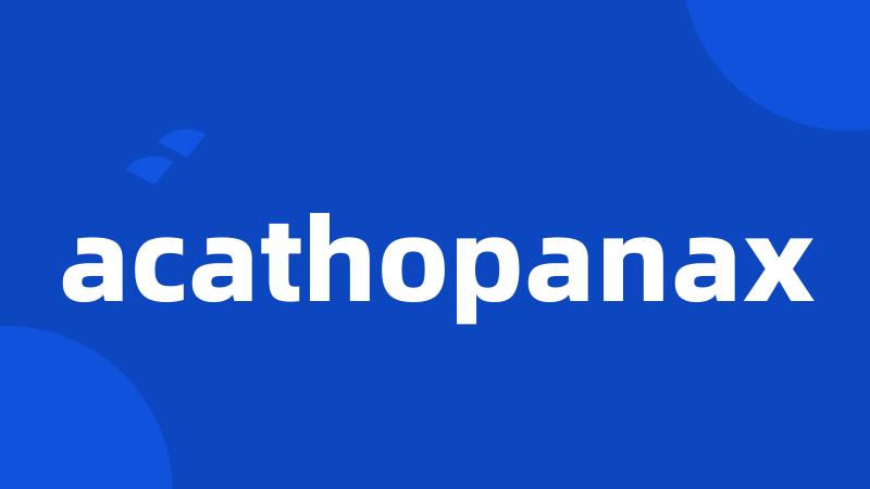 acathopanax
