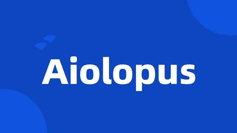 Aiolopus