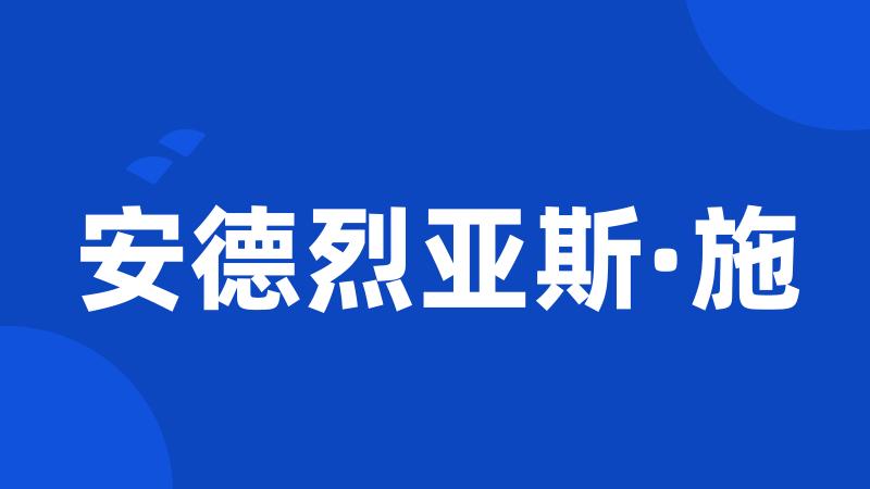 安德烈亚斯·施