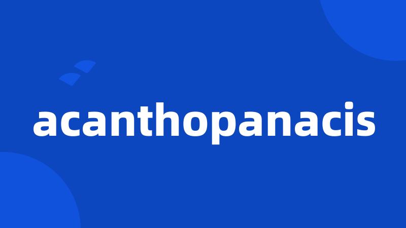 acanthopanacis