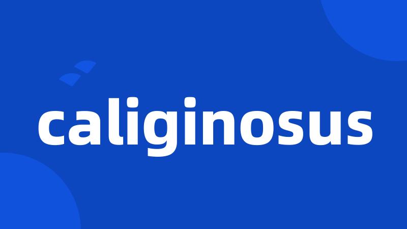 caliginosus