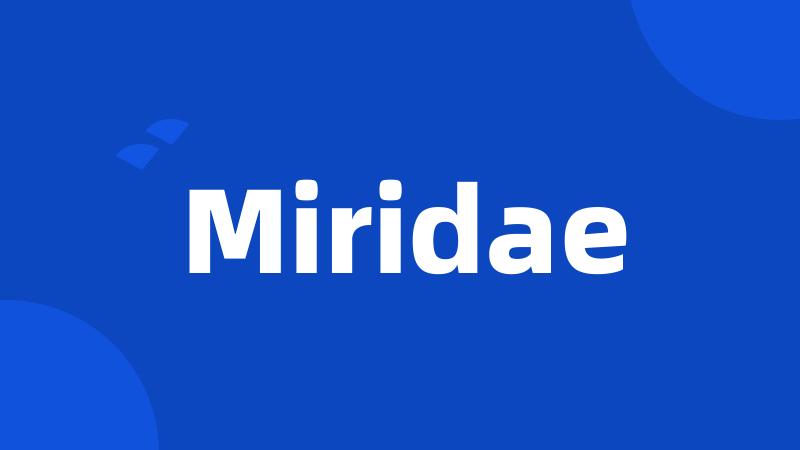 Miridae