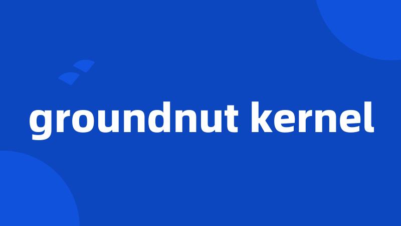 groundnut kernel