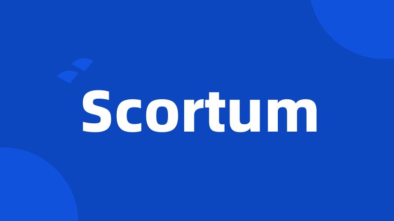 Scortum
