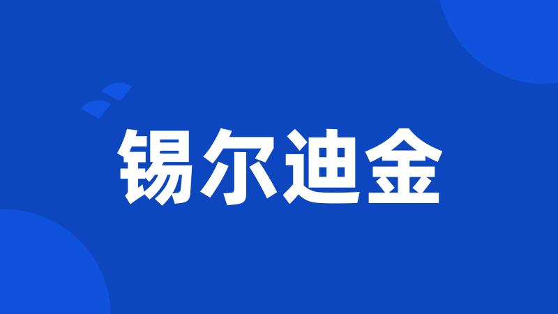 锡尔迪金