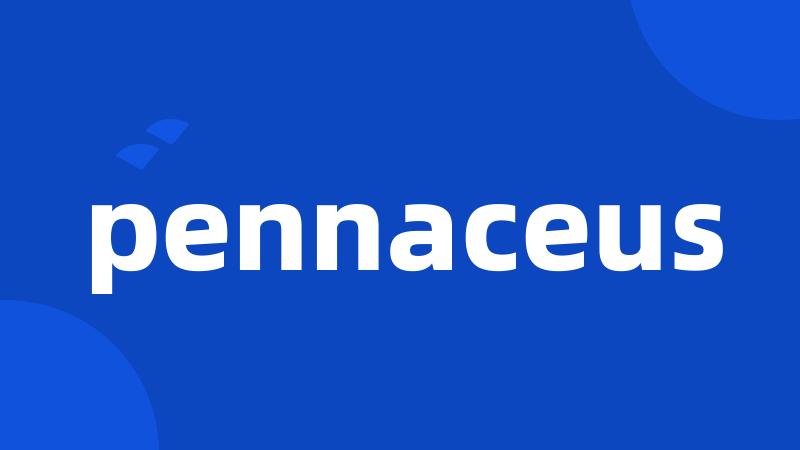 pennaceus
