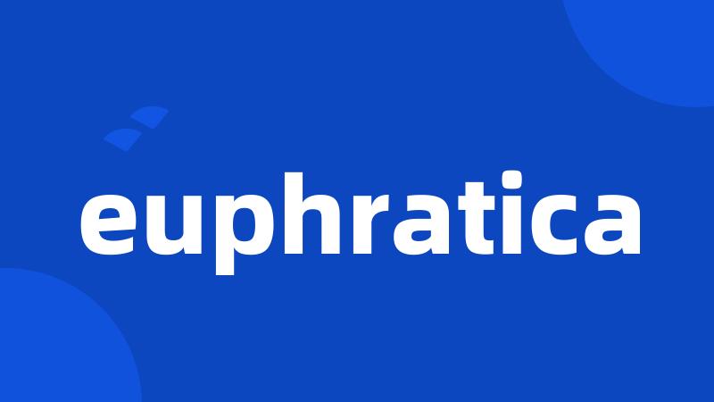 euphratica