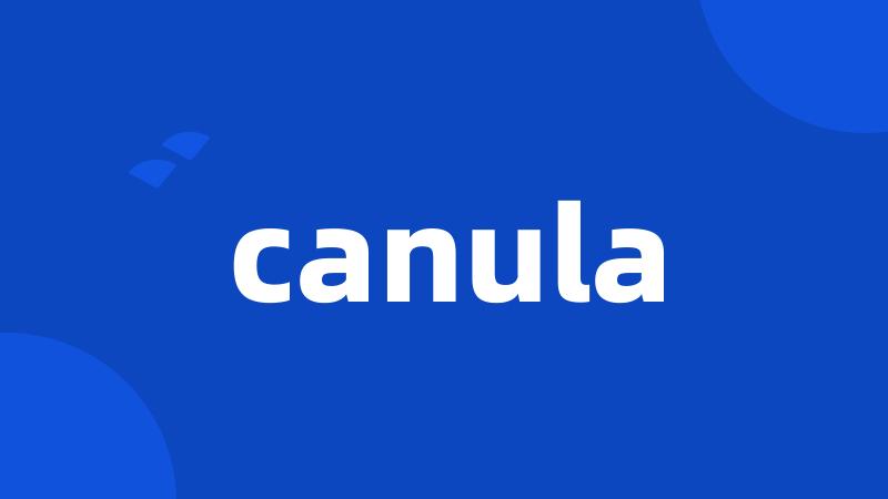 canula