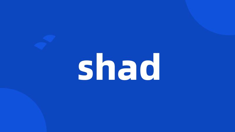 shad