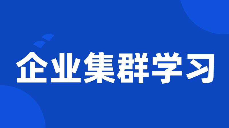 企业集群学习