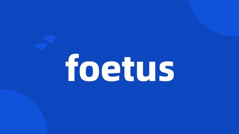 foetus