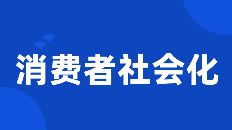 消费者社会化