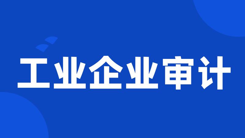 工业企业审计