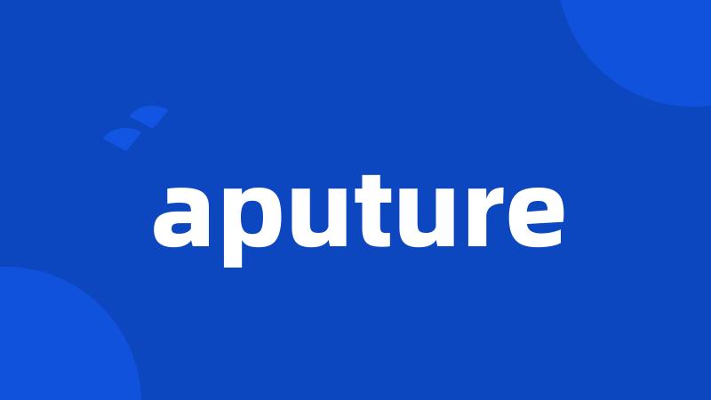 aputure