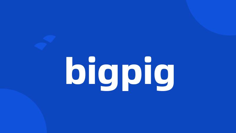 bigpig