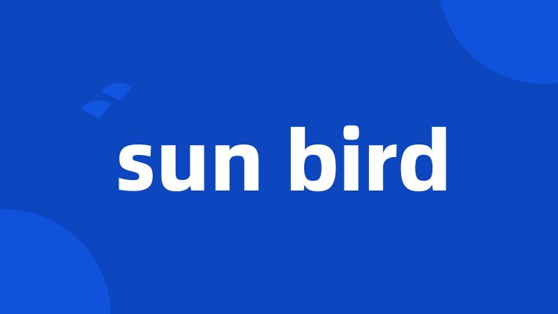 sun bird