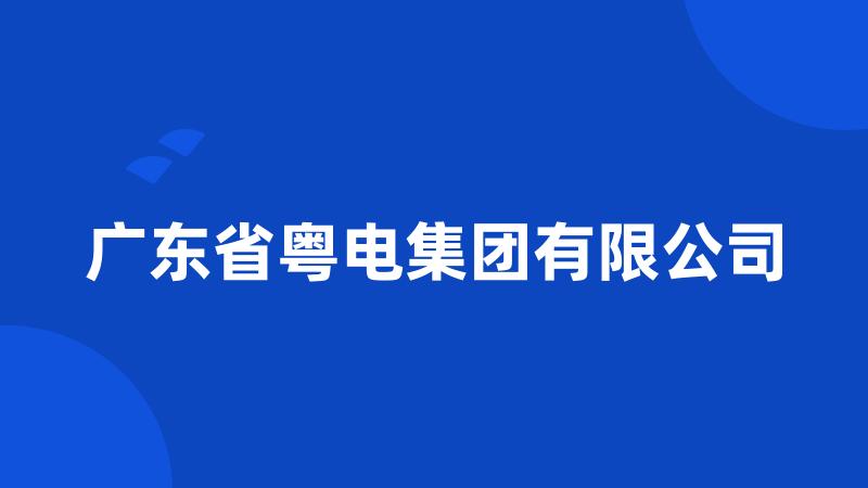 广东省粤电集团有限公司