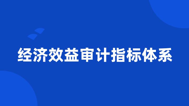 经济效益审计指标体系