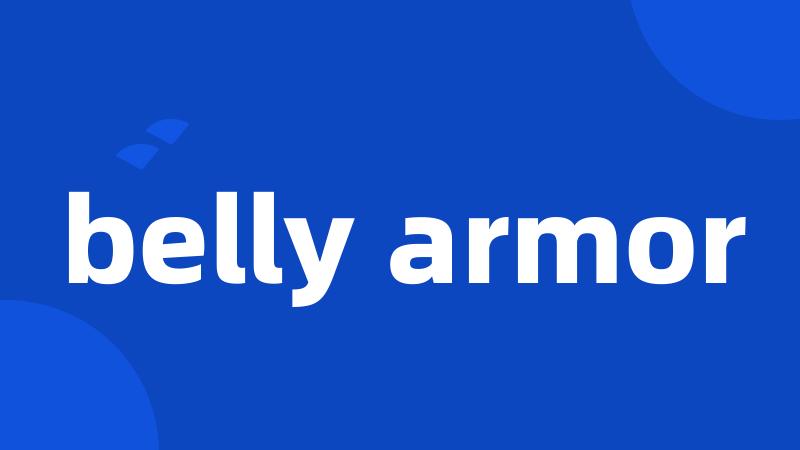 belly armor