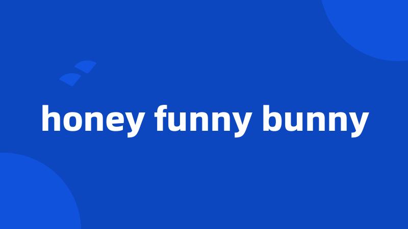 honey funny bunny