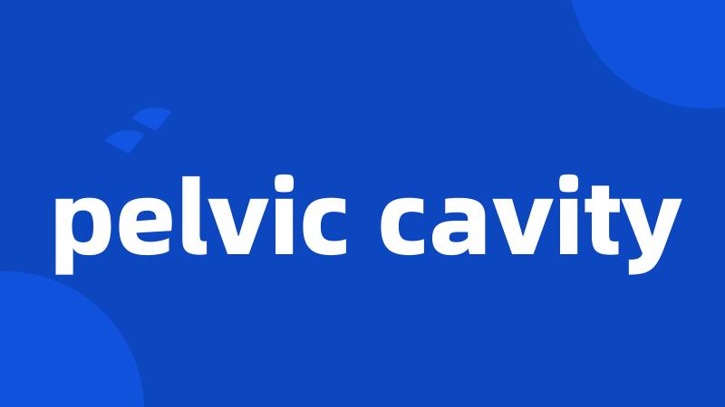 pelvic cavity