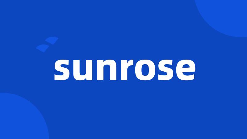 sunrose