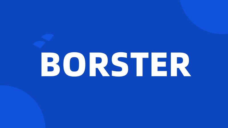 BORSTER