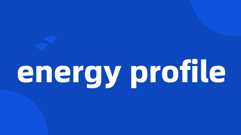 energy profile