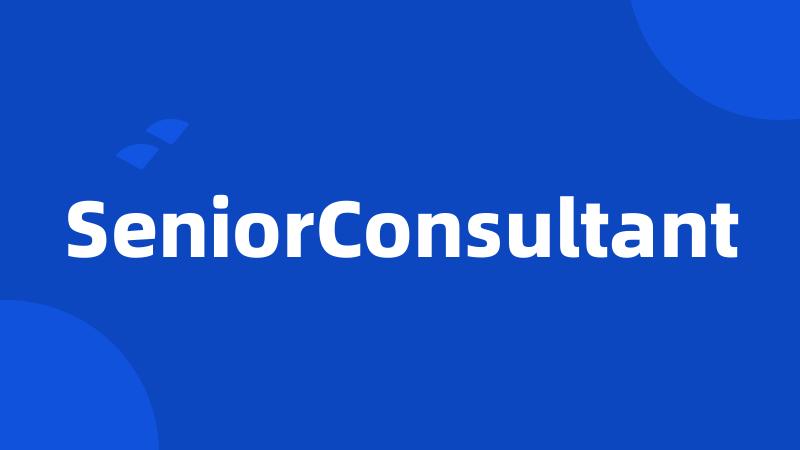 SeniorConsultant