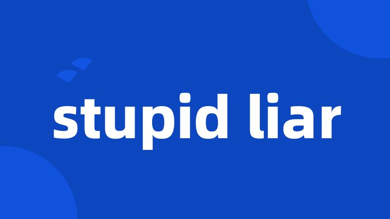 stupid liar