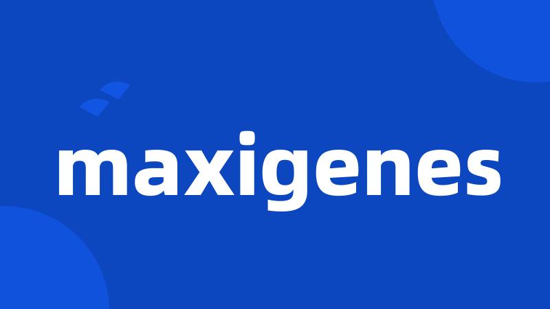 maxigenes