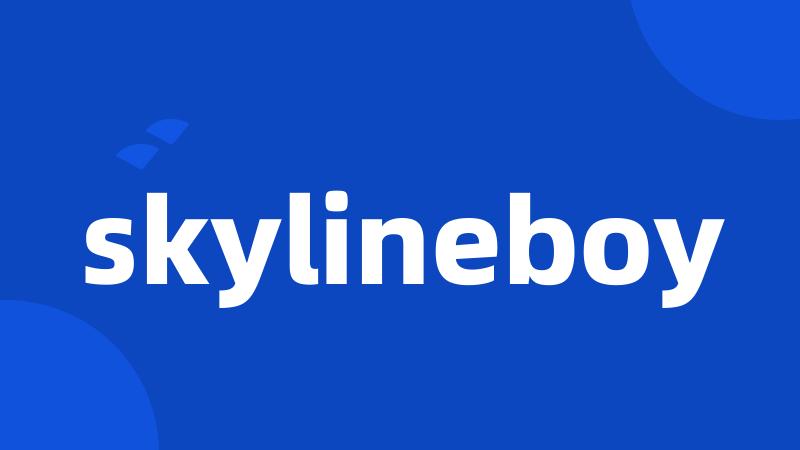 skylineboy