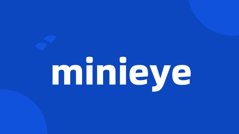 minieye