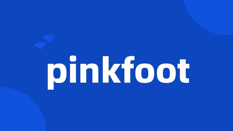 pinkfoot