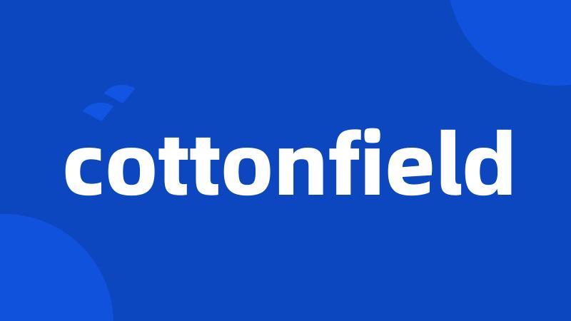 cottonfield