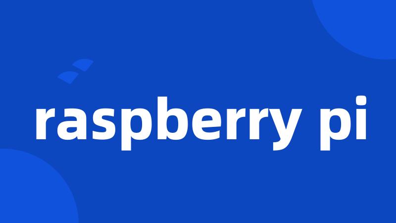 raspberry pi