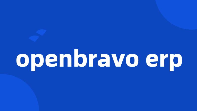 openbravo erp