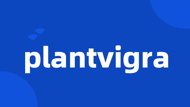 plantvigra