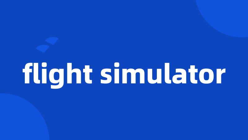 flight simulator