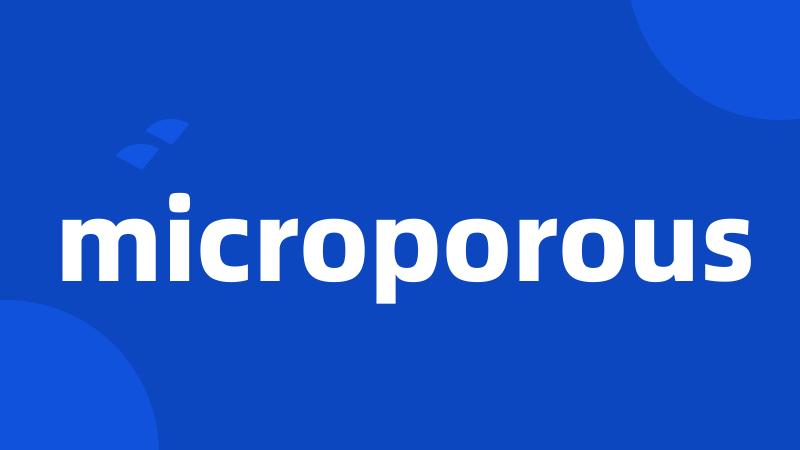 microporous