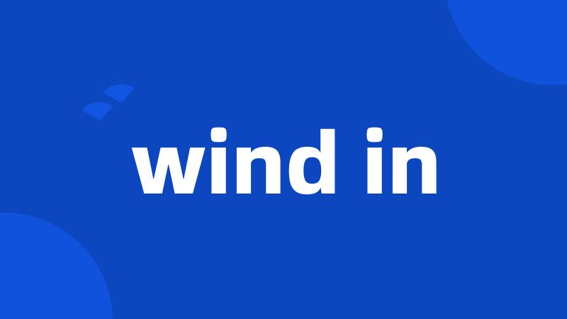 wind in