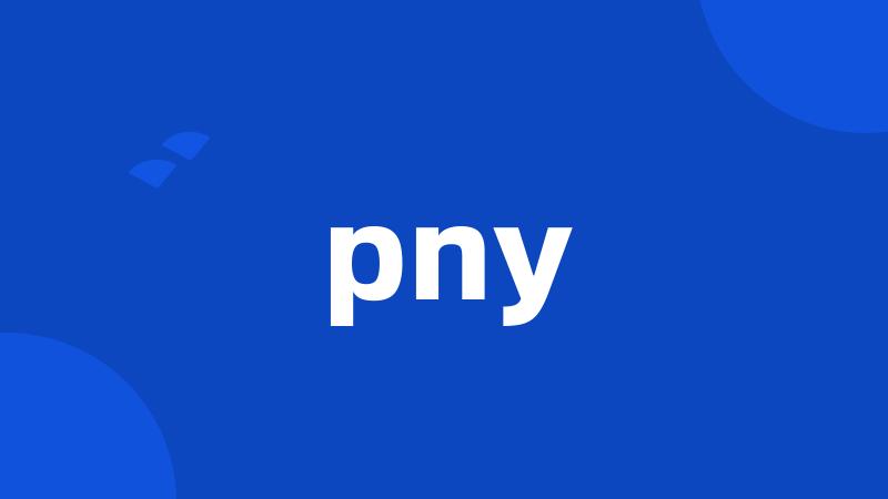 pny