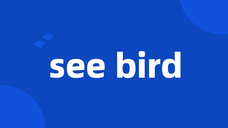 see bird