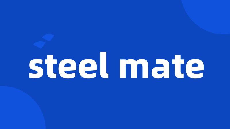 steel mate