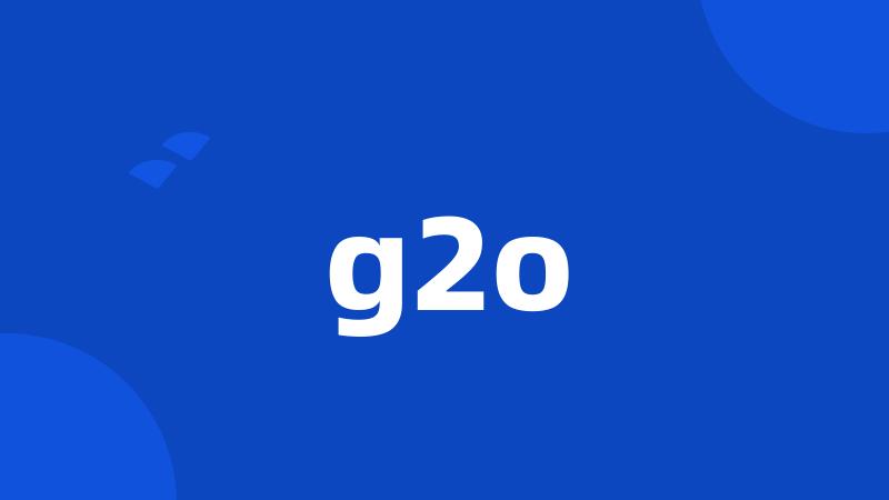 g2o